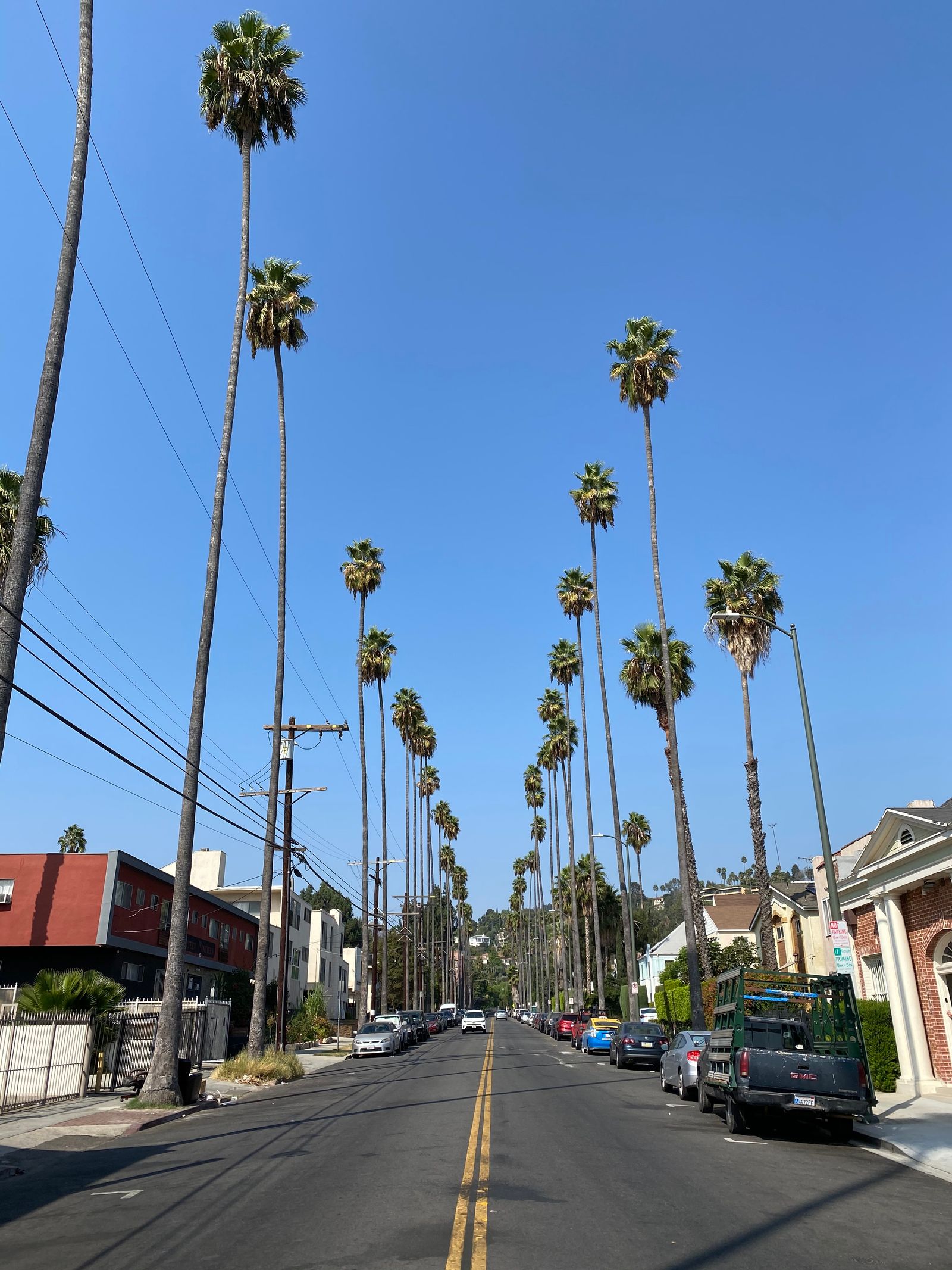 Palm-lined street in a sunny South Florida city