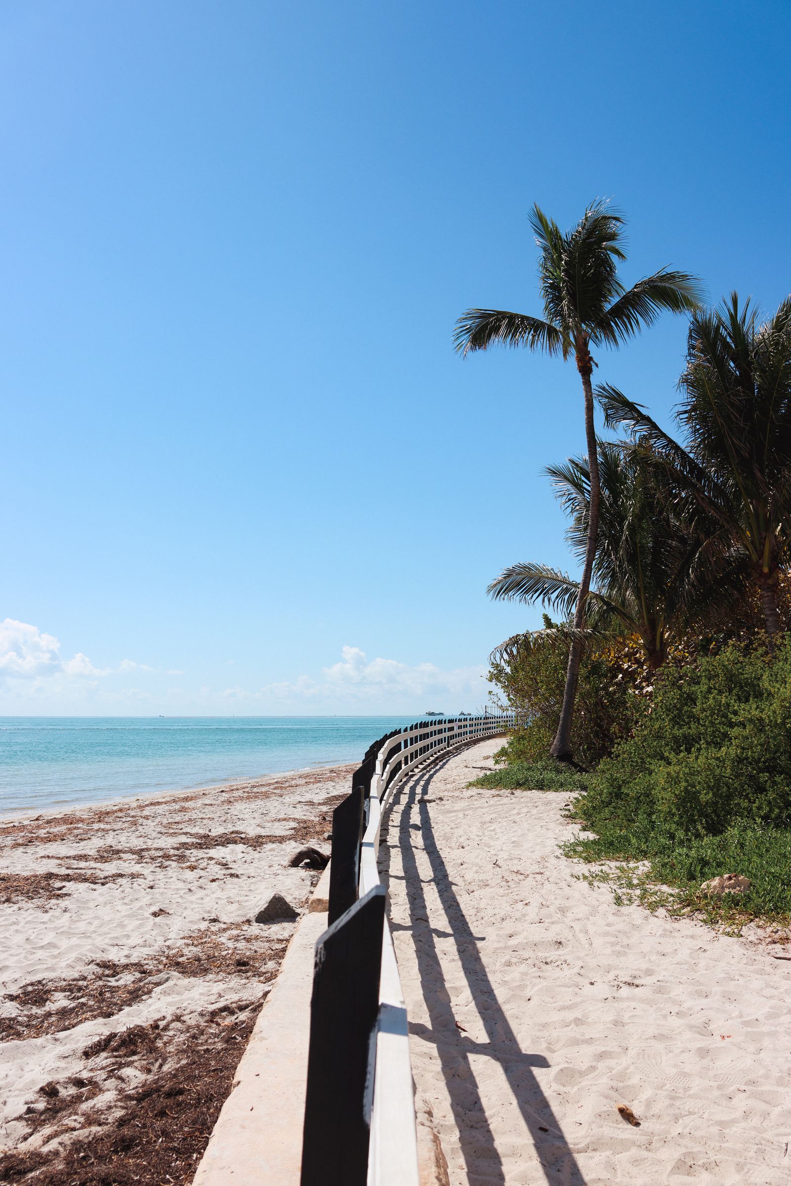 Sunny Florida beach with palm trees and clear sky