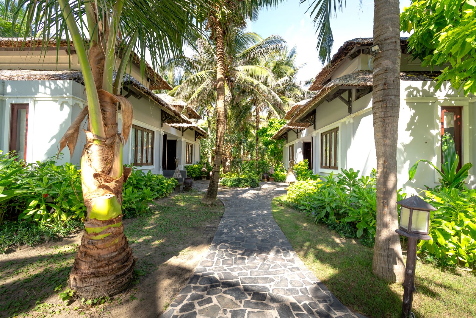 Homes nestled among palm trees in a tropical community
