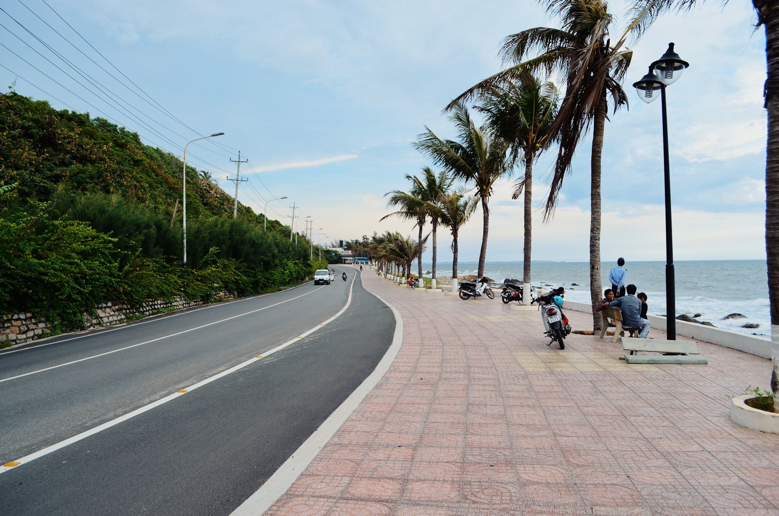 Row of palm trees along a quiet sunny street