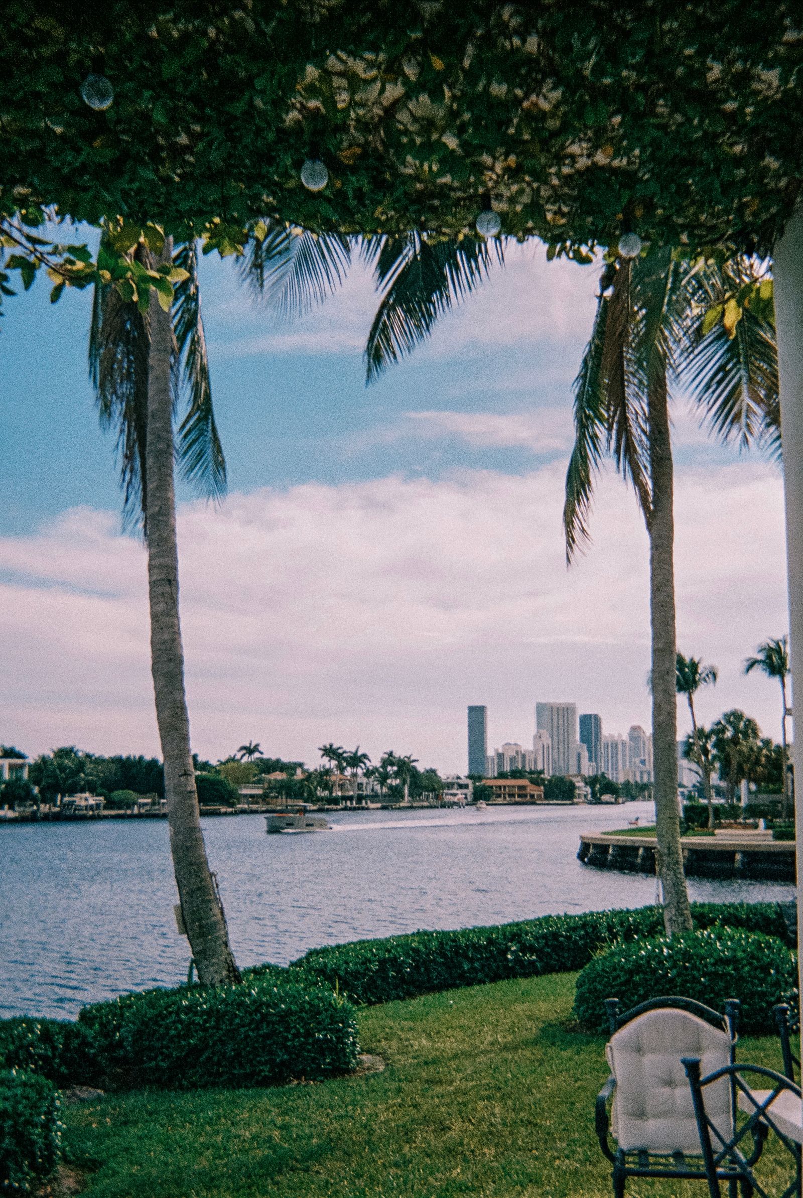 South Florida skyline rising over palms and waterfront